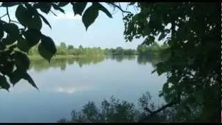 Песня - Лещ на фидер....