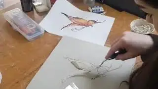 Барельеф бабочка