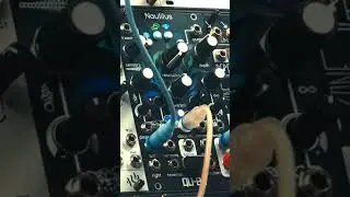 Qu-Bit Nautilus Sounds Fantastic