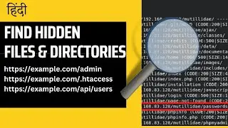 Dirb Tool Tutorial (In-Depth) | Web Directory Bruteforcing for Pentesters