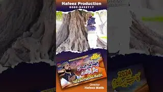 New Kalam 2024 Chad K Jahan Jadon TU Tur Jana En #hdnaat #new_Kalam_2024