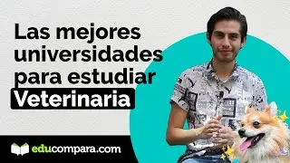 Mejores universidades para estudiar veterinaria y zootécnica en México 🐶😺