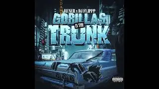 Runer & Dj Flippp - Gorillas in the Trunk