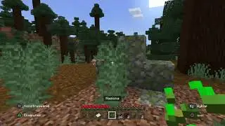Minecraft mind lvl 9M