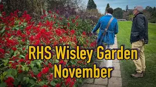 Vlog 197 - One of the best English gardens - Wisley