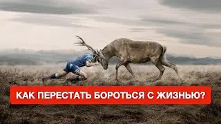 Как перестать БОРОТЬСЯ  собой и Миром