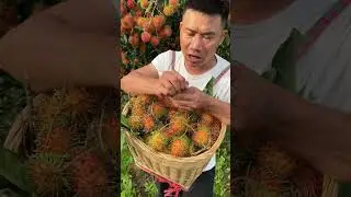 #优质农产品 #快来一起尝个鲜 #红毛丹