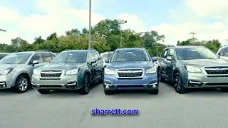 Sharrett Auto Stores - Shopping Experience