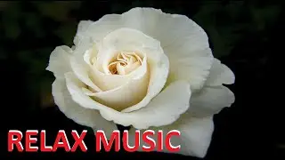 RELAXING MUSIC 🌺   FLOWER THERAPY #relax #music