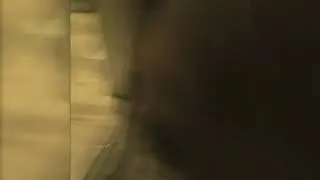Шотландская вислоухая кошка делает зарядку. Смешное видео.
