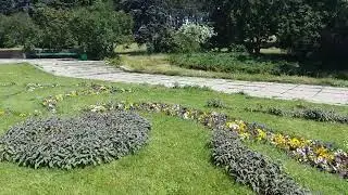 Київ серед квітів