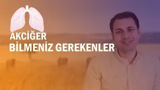 Akciğer hakkında bilmeniz gerekenler