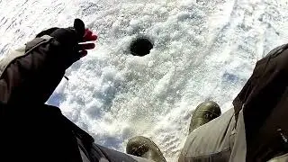 Малыш Mebaru сделал рыбалку  Зимняя рыбалка на судака и налим в прилове  Рыбалка на Каме