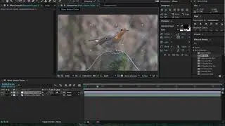 How to apply Blur in Adobe After Effects CC