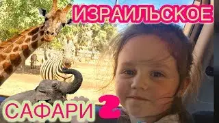 ВЛОГ ЛЕРА! ИЗРАИЛЬСКОЕ САФАРИ (часть2)