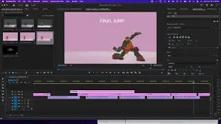 Import Animation Clips into Premiere Pro