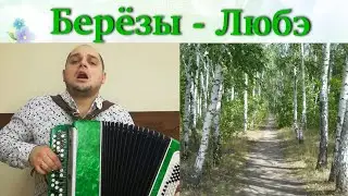 БЕРЁЗЫ - Денис Ларин ( Кавер на баяне) //Biryozy Bayan cover