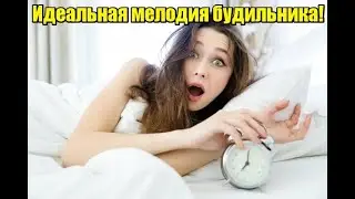 Идеальная мелодия будильника!