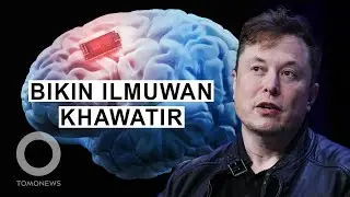 Neuralink: Implan Chip Otak Siap Diuji pada Manusia - TomoNews