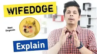 Wifedoge Explain | Wifedoge Review | Wifedoge Future | Wifedoge News Today