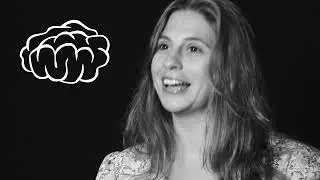 Neurobastidores - A plasticidade do cérebro