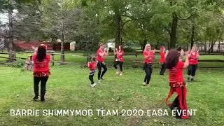 Barrie Shimmymob Team 2020
