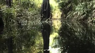 Amazônia S/A - Trailer