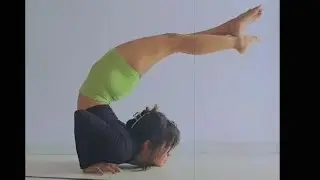 CHIN STAND Practice #chindstand #flexibilityoga #backbendyoga