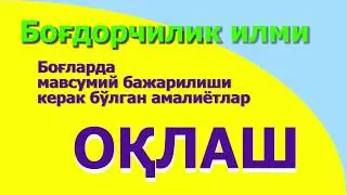 Дарахт танасини оқлаш