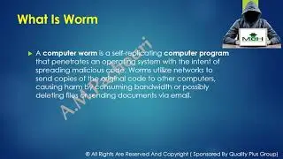 What Is Virus, Malware And Worms Explained 1