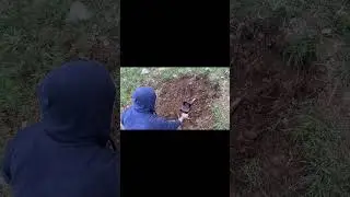 Prueba del Detector de Metales Gold Vision en el Campo