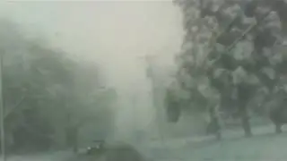 Springblizzard