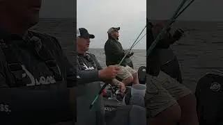 Expectations vs Reality #walleyefishing #walleye #fishing #expectationvsreality