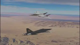 DCS F14 versus MIG 28 Dog Fight  The Revenge