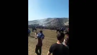 Ulog'dan halva