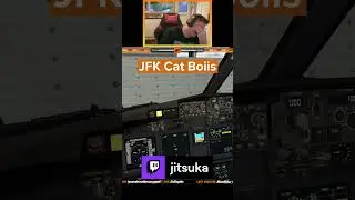 JFK Cat Boiis