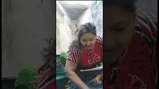 Imo video calls #202
