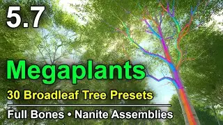 Procedural Broadleaf Trees | MEGAPLANTS | Bones | Nanite Assemblies | UE 5.7 