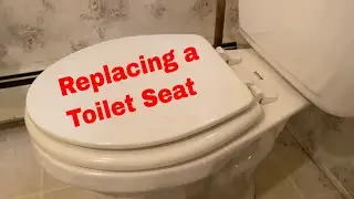 How to replace a toilet seat quick and easy