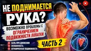 Восстановление полного объема движений в плечевом суставе парализованной руки после инсульта.