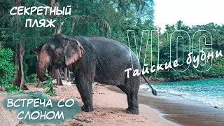 СЕКРЕТНЫЙ ПЛЯЖ. ВСТРЕЧА СО СЛОНОМ.