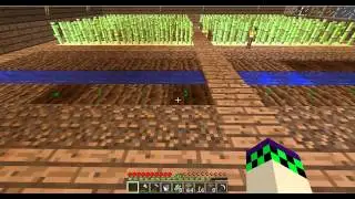 Survival House | The Farms | EP 2