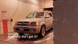 Bad Luck Performance: Our New Sequoia