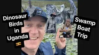 Searching for the DINOSAUR BIRDS (SHOEBILLS) in Uganda 🇺🇬.