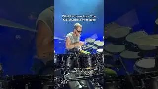 SHANIMAL ON FIRE 🥁🔥