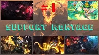 Support Montage #4