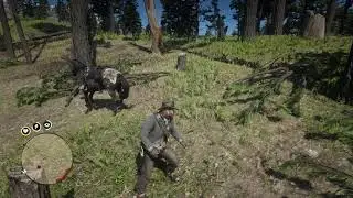 RDR2 - Don't Move
