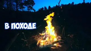 Ушел в поход: ночь, летучие мыши, костер, купание