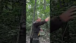 mem #memes #mem #рил #смешное #жиза #приколы #рек #рекомендации #capcut