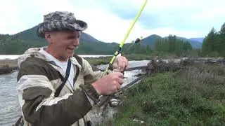 Горный хариус
